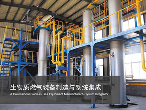 Biomass combustion system